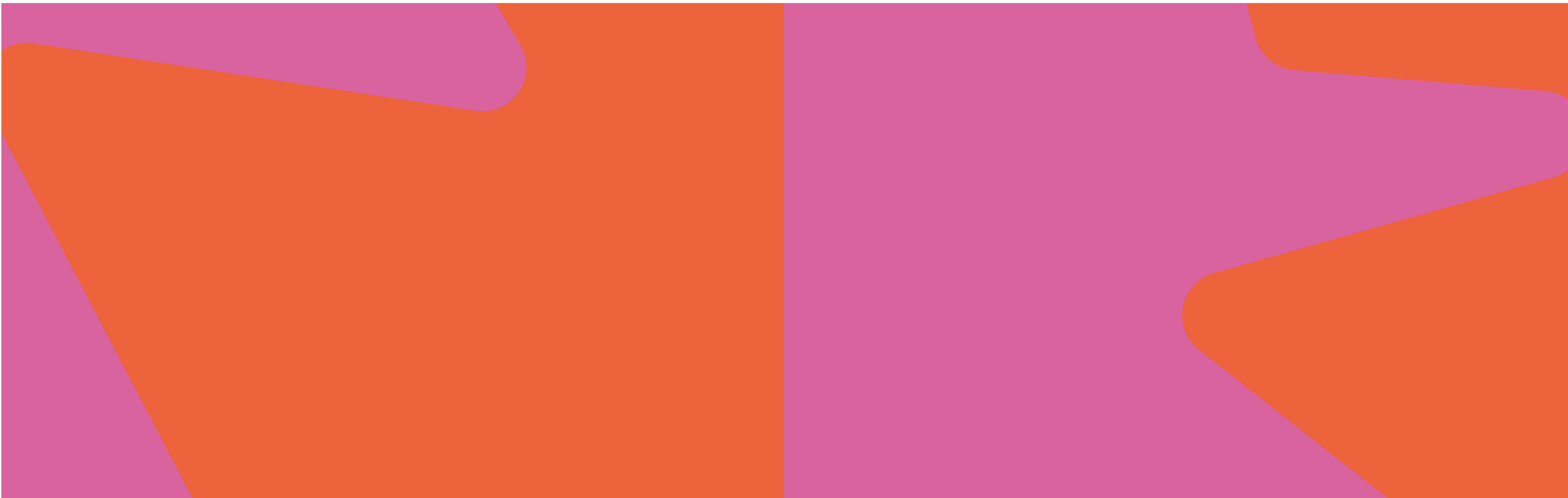 C-Level Innovation Program